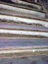 LOS ESCALONES